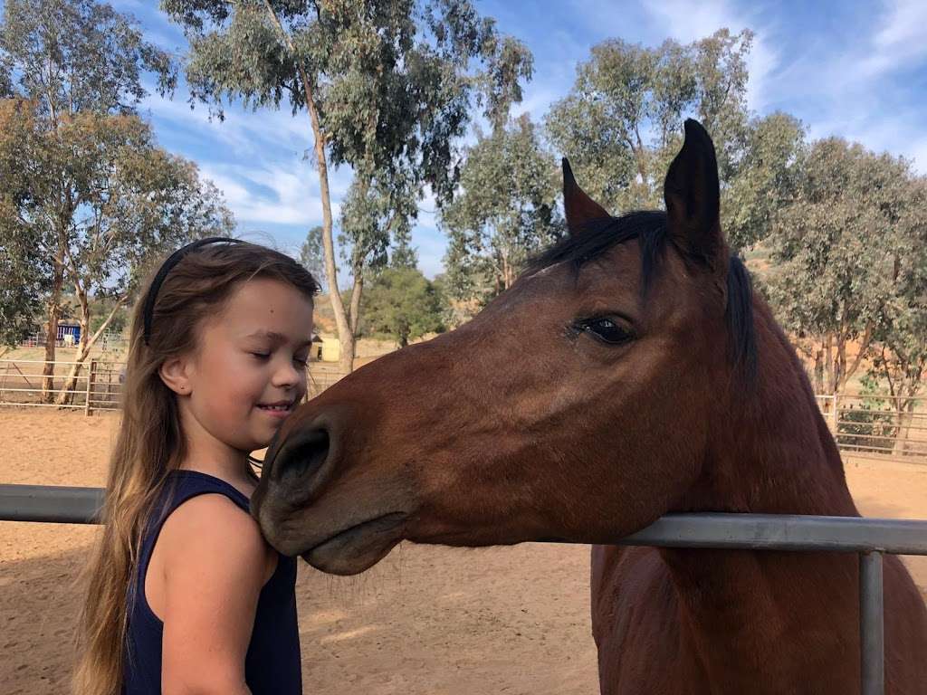 Ride Above Disability Therapeutic Riding Center | 15529 Sycamore Canyon Rd, Poway, CA 92064, USA | Phone: (858) 209-5662