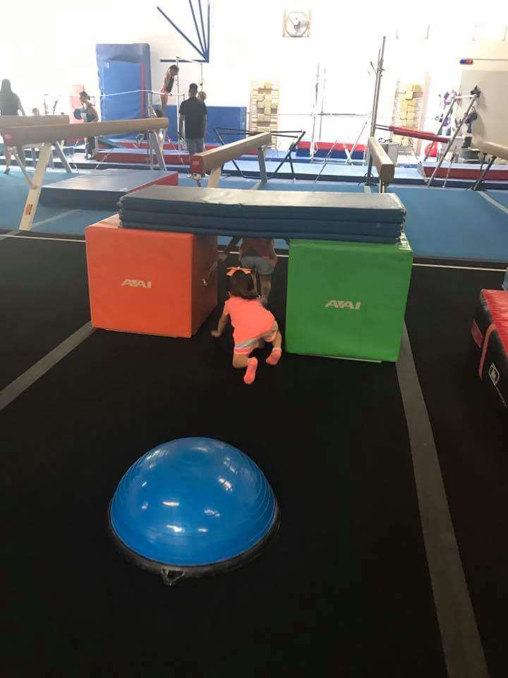 ALL AROUND GYMNASTICS | 674 County Line Rd, Bensenville, IL 60106, USA | Phone: (708) 258-5822