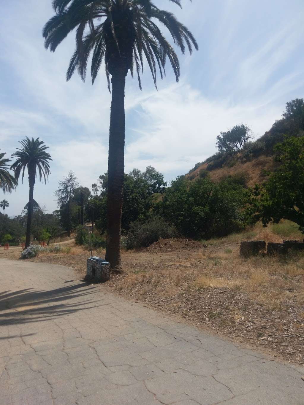 Runyon Canyon Yoga | 1998 N Fuller Ave, Los Angeles, CA 90046, USA | Phone: (213) 665-5188