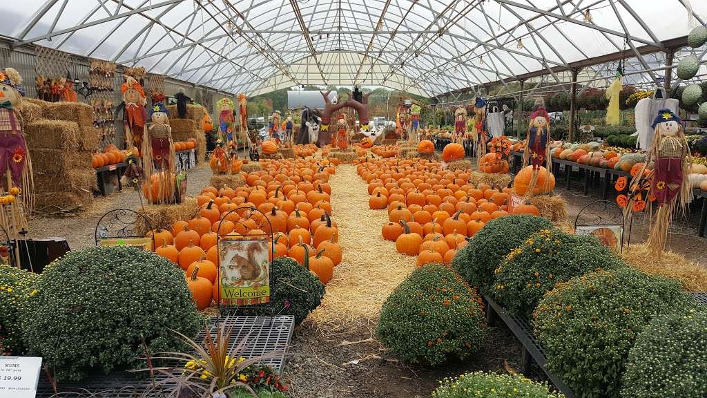 Condursos Garden Center | 96 River Rd, Montville, NJ 07045, USA | Phone: (973) 263-8814