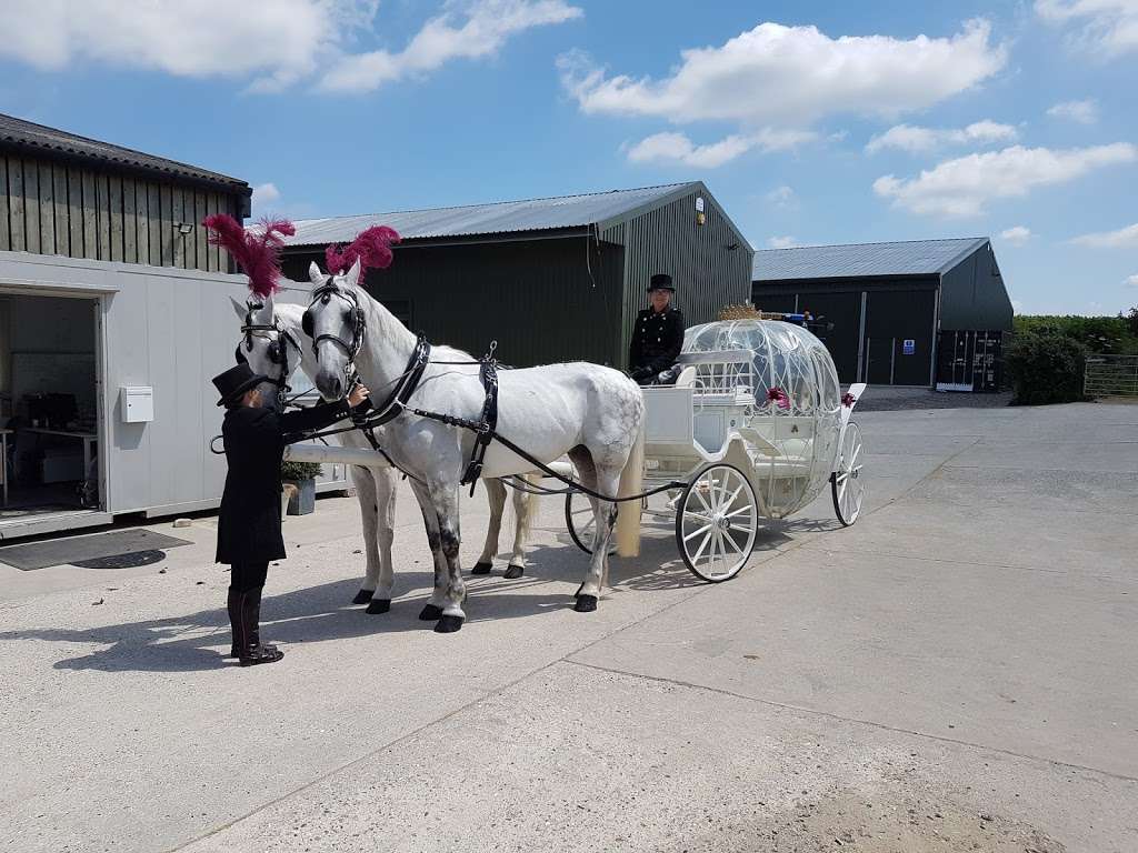 White Horse Farm Carriages | White Horse Farm, White Horse Lane, Harvel, Meopham, Gravesend DA13 0UE, UK | Phone: 07711 033064