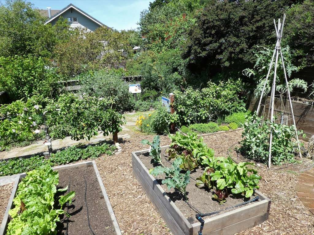 Garden for the Environment | 1590 7th Ave, San Francisco, CA 94122, USA | Phone: (415) 558-8246