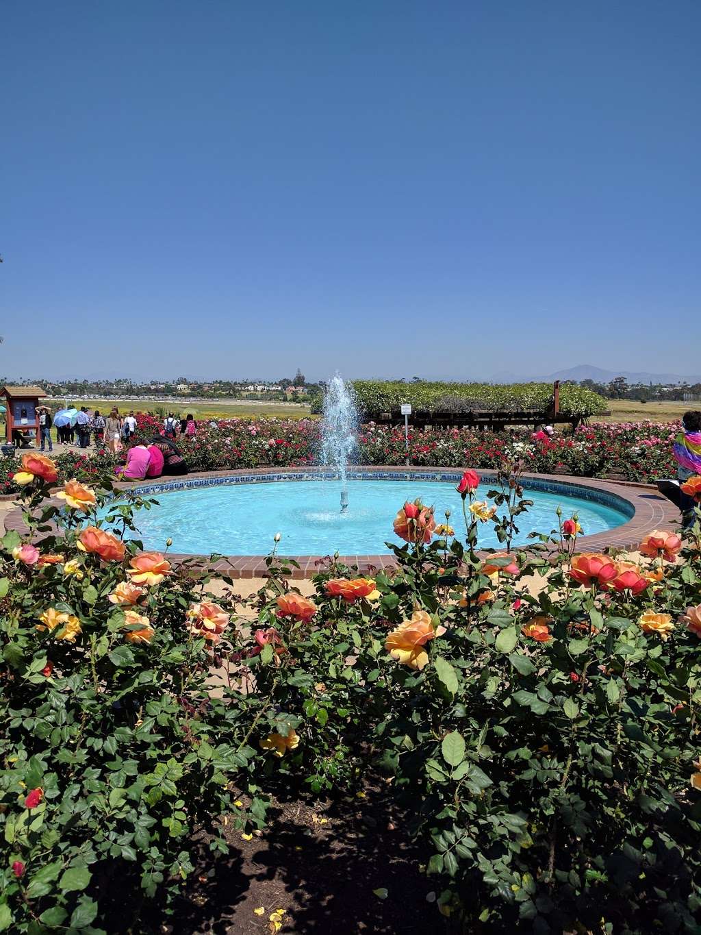 Rose and Cactus Gardens | San Diego, CA 92104 | Phone: (619) 239-0512