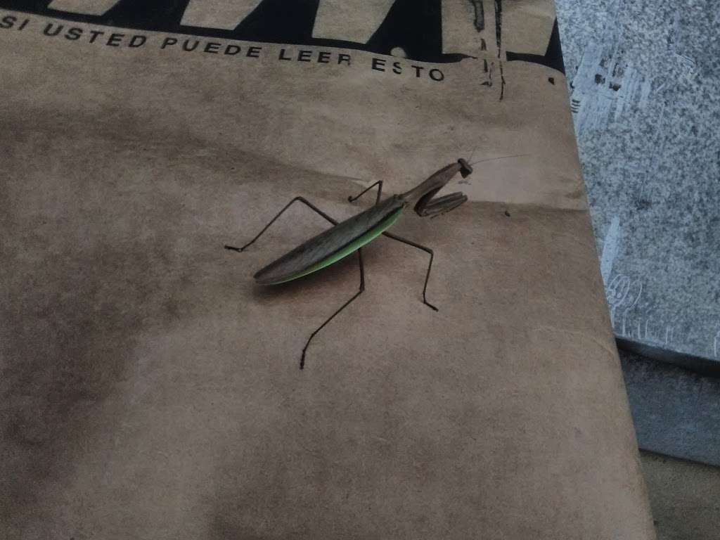 Wakefern Food Corporation in 60 Tower Rd, Dayton, NJ 08810, USA