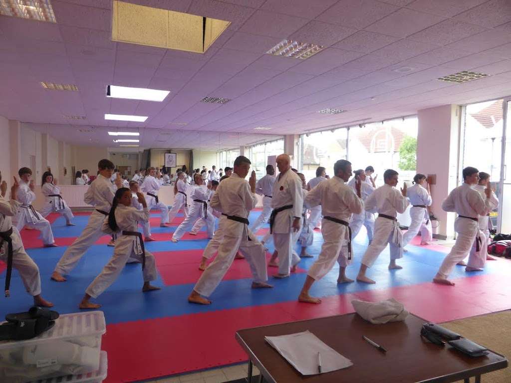 North Surrey Karate | 248 Hook Rd, Chessington KT9 1PL, UK | Phone: 07795 203724