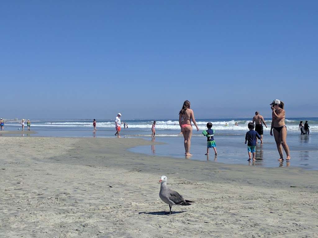 Sunset Park | 101 Ocean Blvd, Coronado, CA 92118, USA | Phone: (619) 522-7342