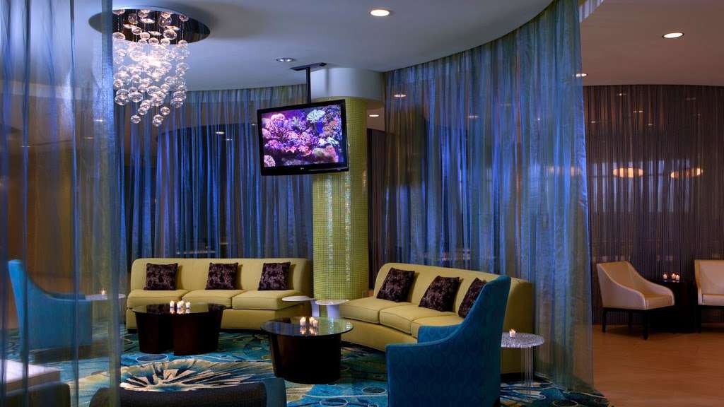 SpringHill Suites by Marriott Orlando at SeaWorld® | 10801 International Dr, Orlando, FL 32821, USA | Phone: (407) 354-1176