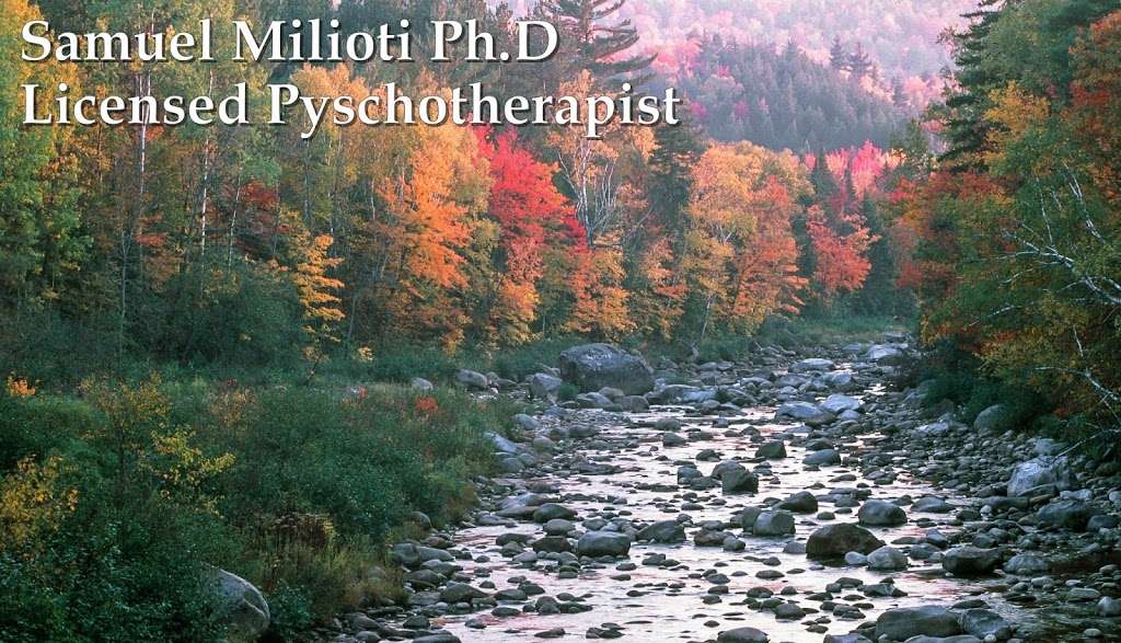 Samuel Milioti, PHD Licensed Pyschotherapist | 614 Loveville Road, Suite F1A, Hockessin, DE 19707, USA