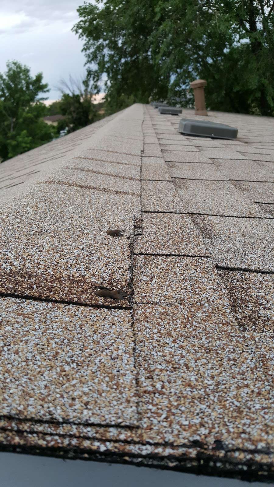 A Roofing Co. | 17 Cornell Dr, Longmont, CO 80503, USA | Phone: (303) 444-5539