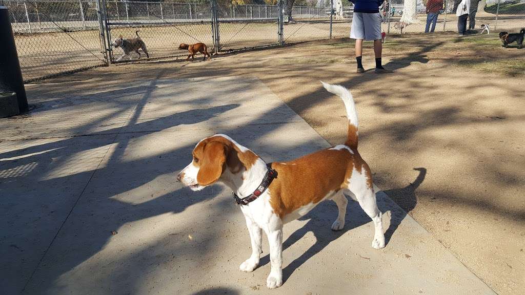 Home Run Dog Park | 20357 Studebaker Rd, Lakewood, CA 90713, USA | Phone: (562) 925-6912