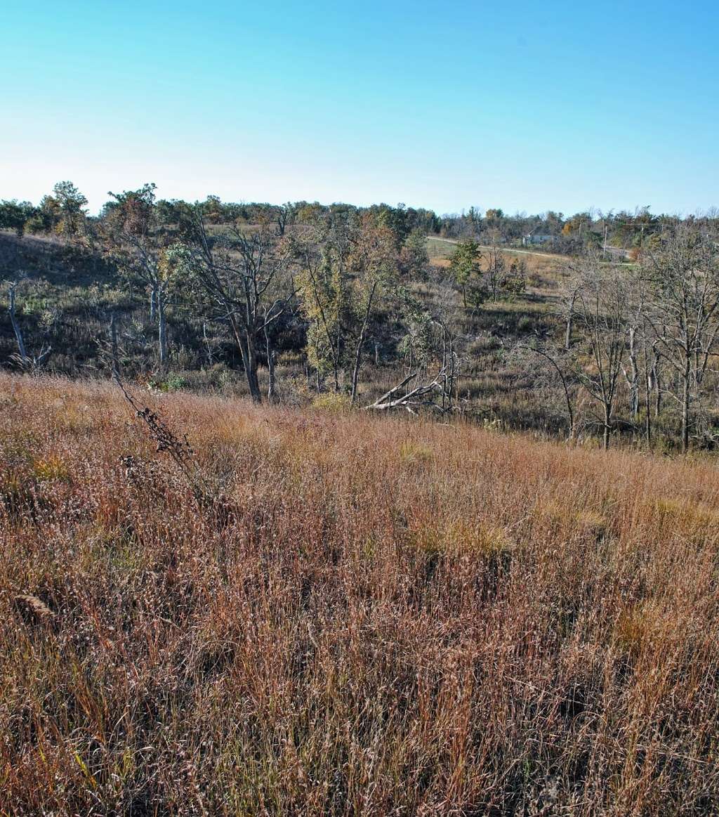 Eagle Centre Prairie State Natural Area | Eagle, WI 53119, USA | Phone: (888) 936-7463