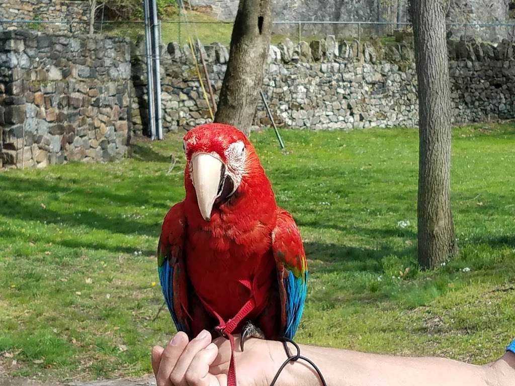 Brandywine Zoo | 1001 N Park Dr, Wilmington, DE 19802, USA | Phone: (302) 571-7747