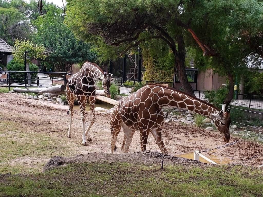 GENE C. REID PARK | 900 S Randolph Way, Tucson, AZ 85716, USA | Phone: (520) 791-4873