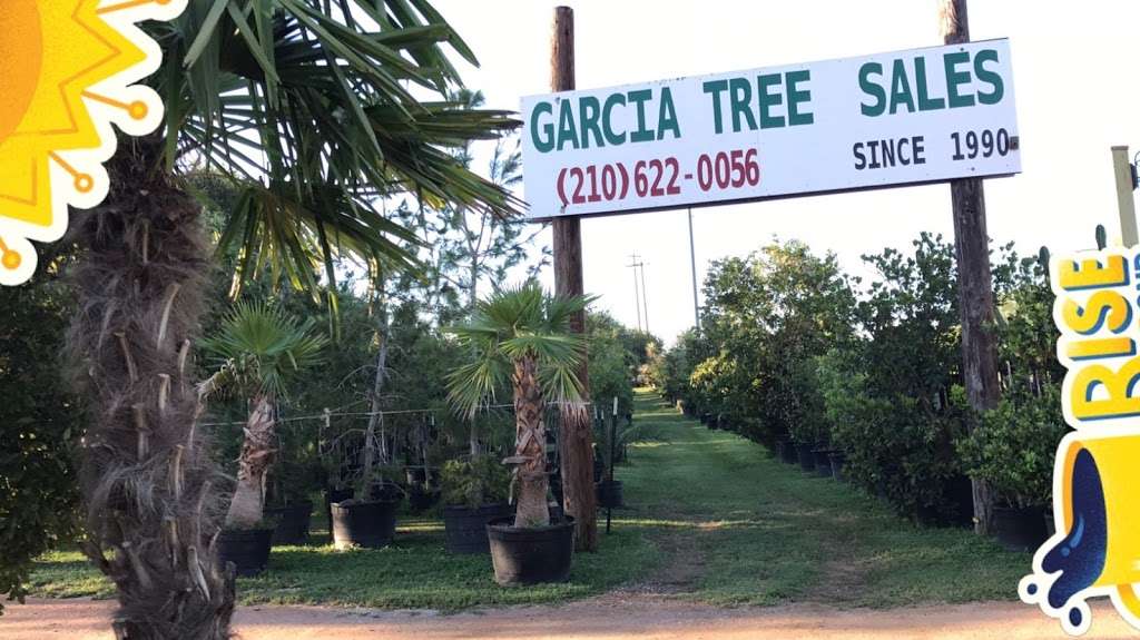 Garcias Tree Sales | 17420 West Loop 1604 South, Von Ormy, TX 78073, USA | Phone: (210) 622-0056