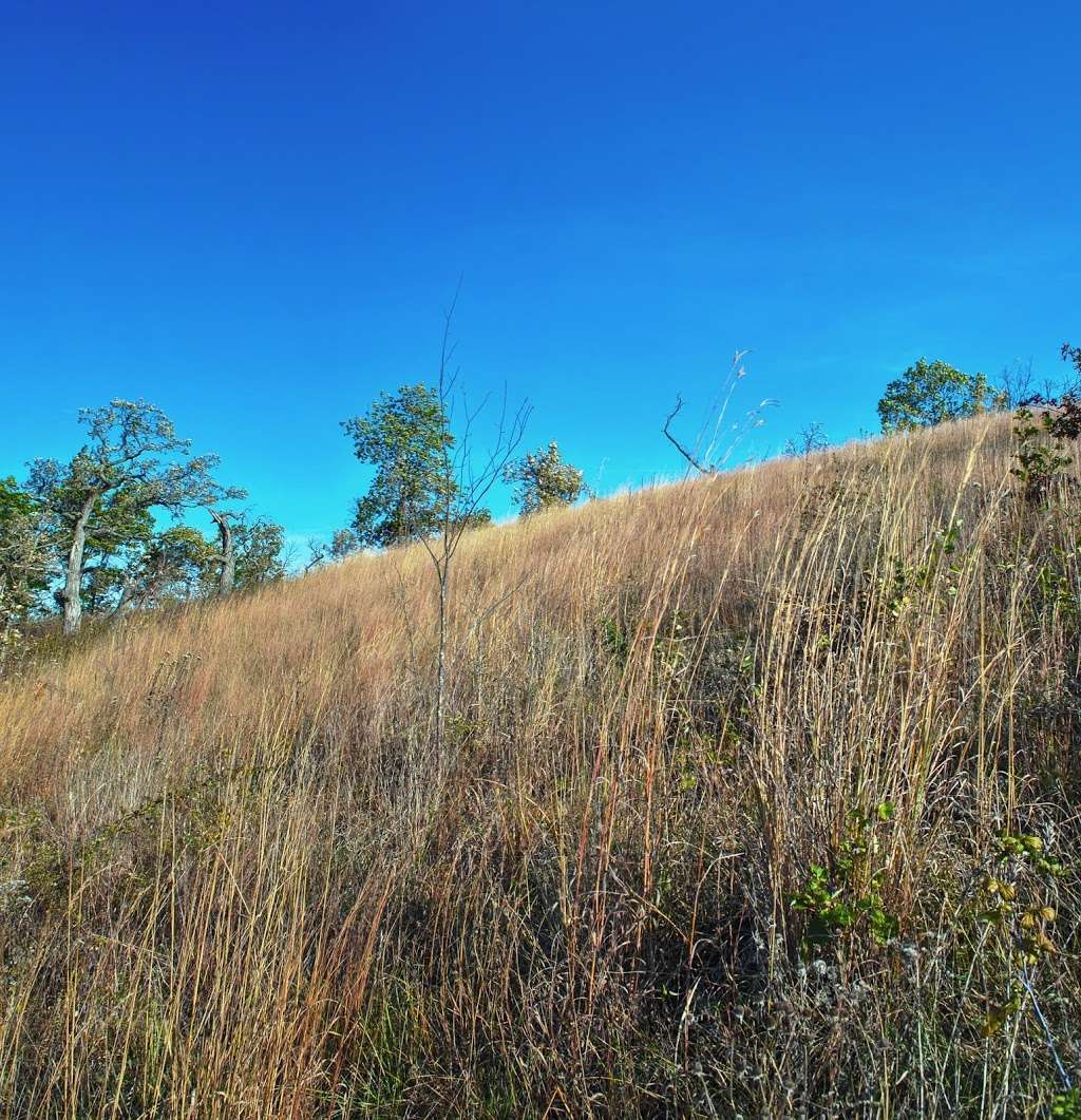 Eagle Centre Prairie State Natural Area | Eagle, WI 53119, USA | Phone: (888) 936-7463