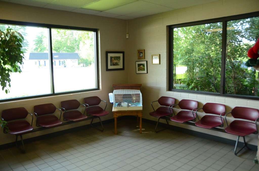 New Buffalo Animal Hospital, Inc. | 600 W Buffalo St, New Buffalo, MI 49117, USA | Phone: (269) 469-5400