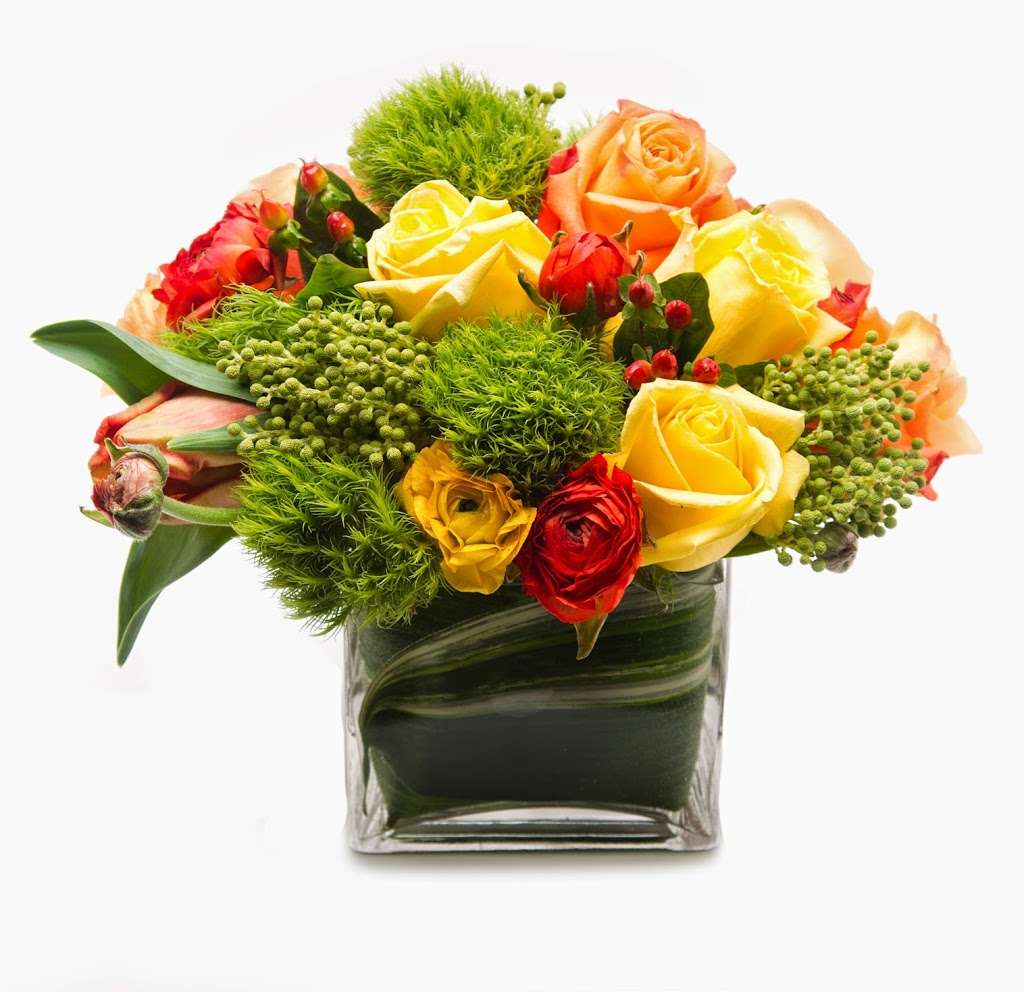 My Fair Ladys Flowers | 2691 N Beachwood Dr, Hollywood, CA 90068, USA | Phone: (323) 466-5239