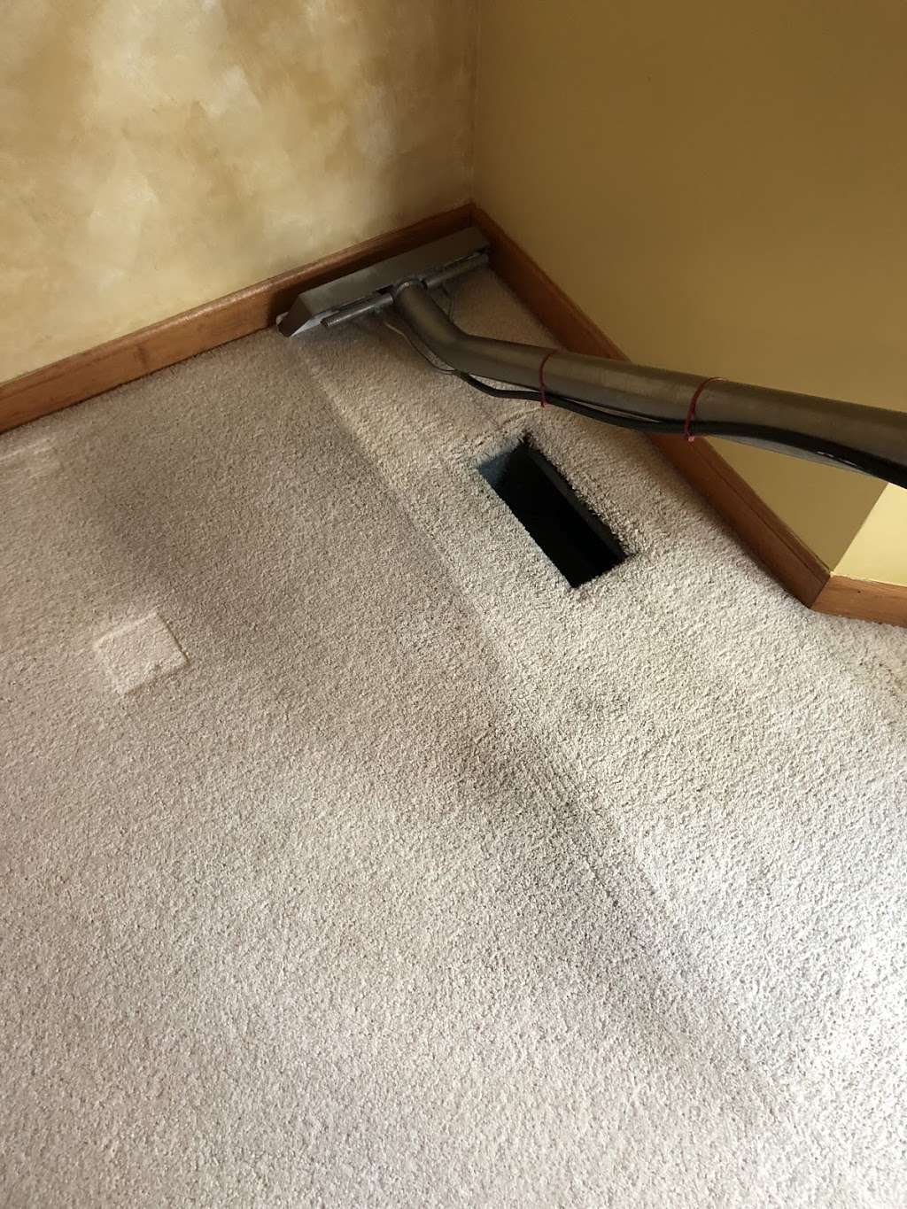 Sycamore carpet and furniture cleaning | 231 Ellen St, Sycamore, IL 60178, USA | Phone: (331) 248-1889