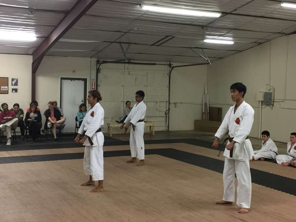 The Woodlands Shotokan Karate | 25222 Richards Rd, Spring, TX 77386, USA | Phone: (713) 545-2192