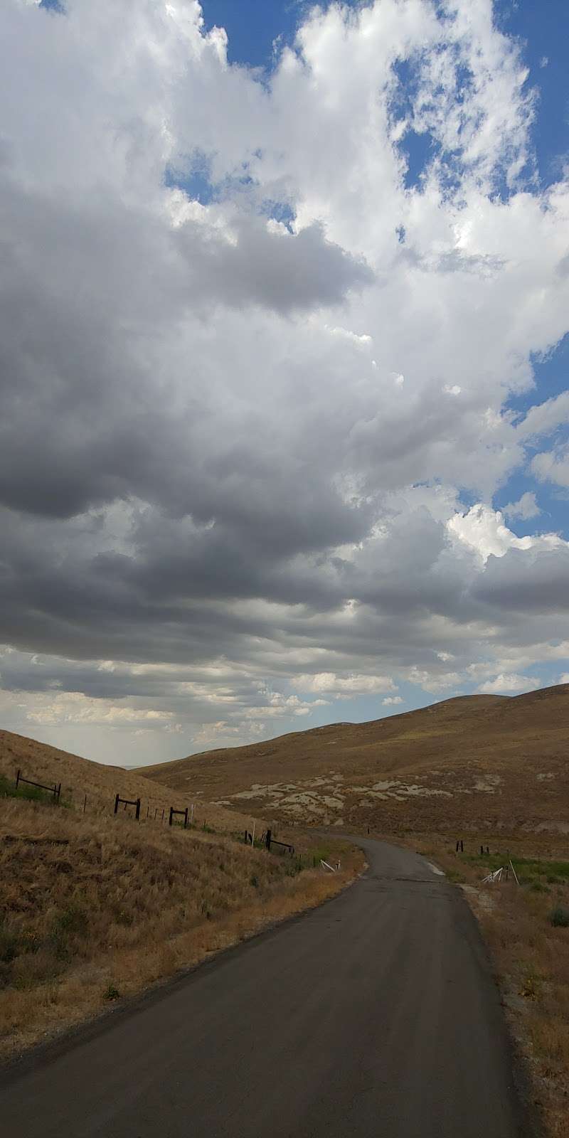 Bitter Creek National Wildlife Refuge | California 166 & Cerro Noroeste Rd, Maricopa, CA 93252, USA | Phone: (805) 644-5185