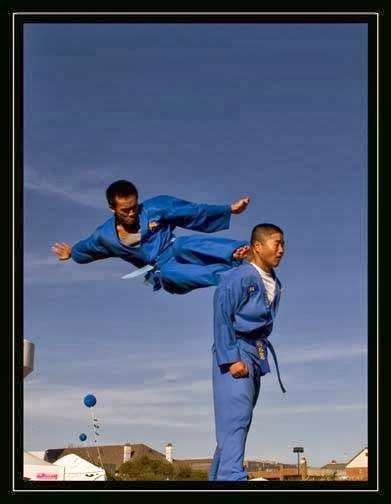 Vovinam Vietnamese Martial Arts | 4460 W Walnut St #202, Garland, TX 75042, USA | Phone: (469) 286-6649