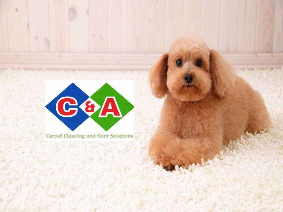 C&A CARPET CLEANING AND FLOOR SOLUTIONS, LLC | 10438 Appaloosa Bay, San Antonio, TX 78254, USA | Phone: (210) 251-8595