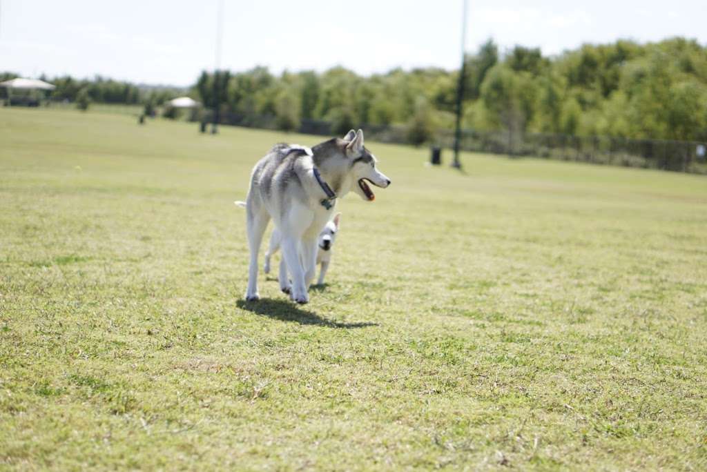 Dog Park - Toyota of Lewisville Railroad Park | 1301 S Railroad St, Lewisville, TX 75057, USA | Phone: (972) 219-5077