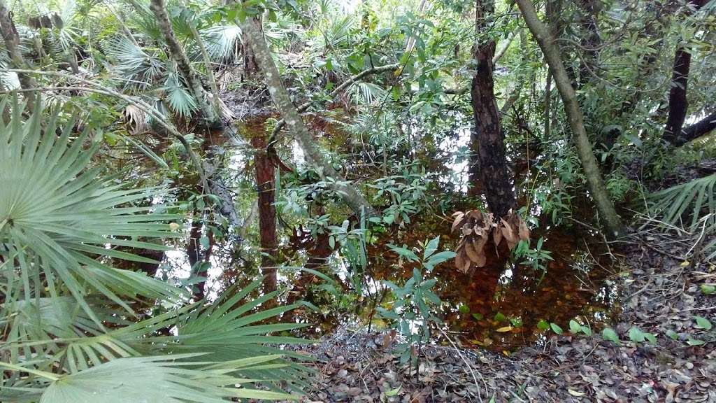 The Arbors | Forest Glade Trail, Hobe Sound, FL 33455, USA