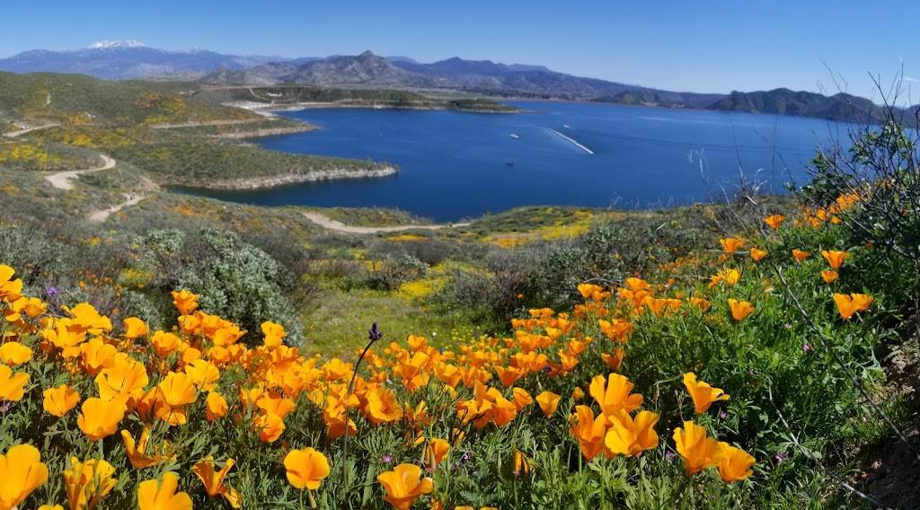 Wildflower Trail | Flower Trail, Hemet, CA 92545, USA