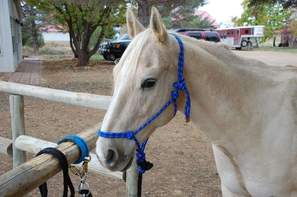 Edens Aspens Horsemanship | 15102 N 83rd St, Longmont, CO 80503, USA | Phone: (970) 590-7052