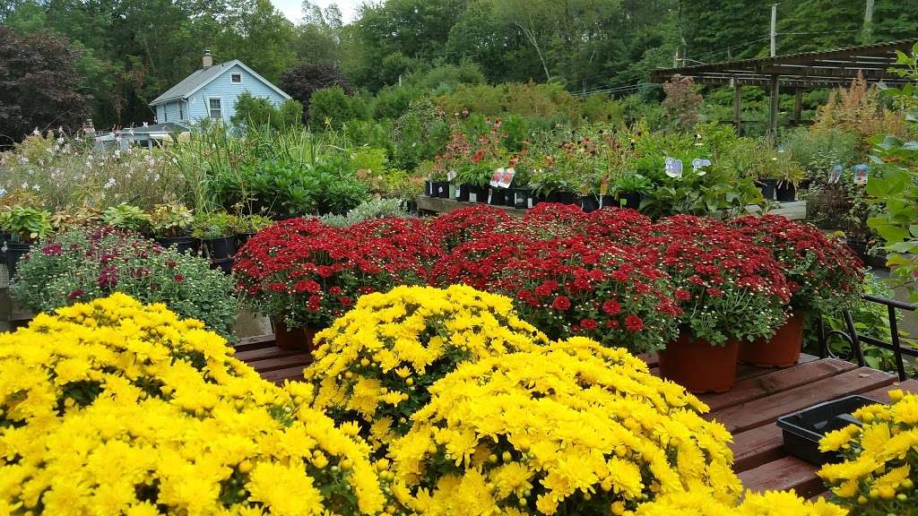 Copia Home And Garden Store 475 Smith Ridge Rd South Salem