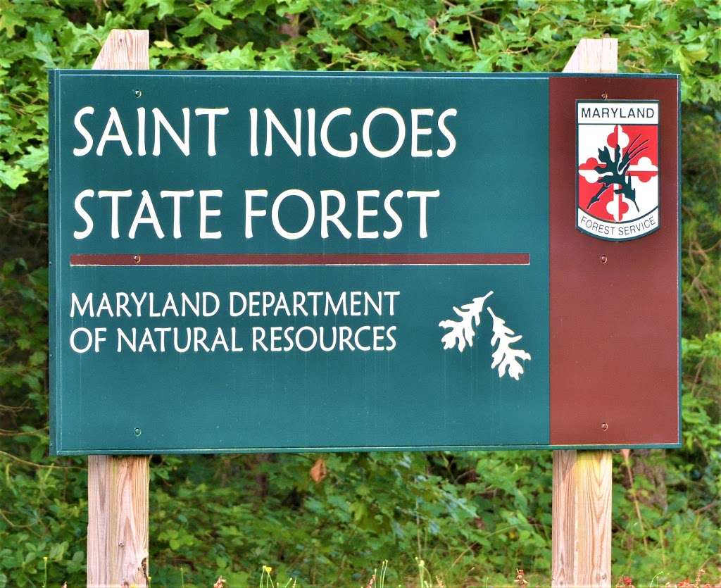 Saint Inigoes State Forest | 47605 Beachville Rd, St Inigoes, MD 20684, USA