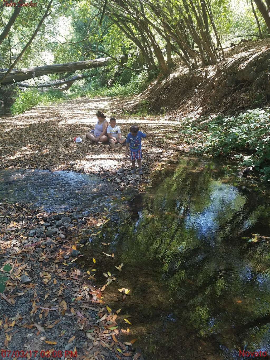 Dwarf Oak Trail Trailhead (Mount Burdell) | 2931 Novato Blvd, Novato, CA 94947, USA