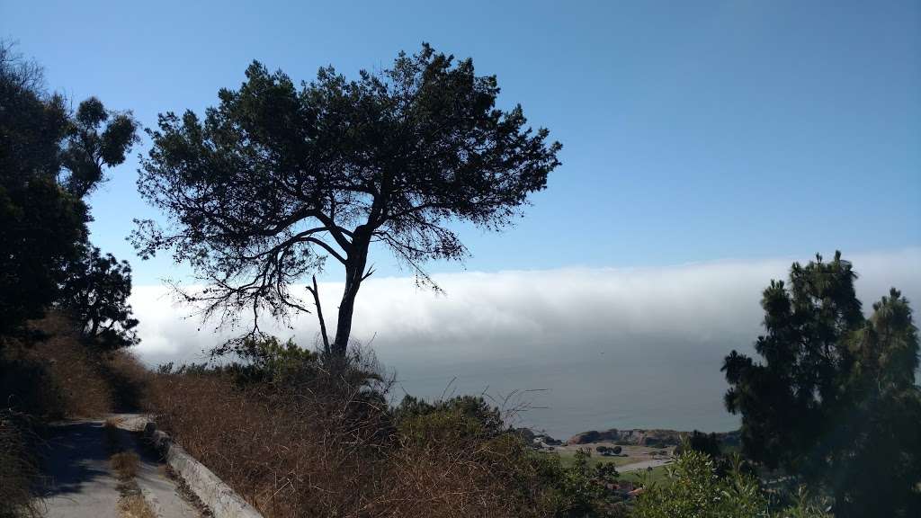 Palos Verdes Dr. N. at Via Alameda | Palos Verdes Estates, CA 90274, USA