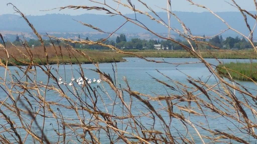 Baylands Nature Preserve Ranger Station | 2500 Embarcadero Rd, Palo Alto, CA 94303 | Phone: (650) 617-3156