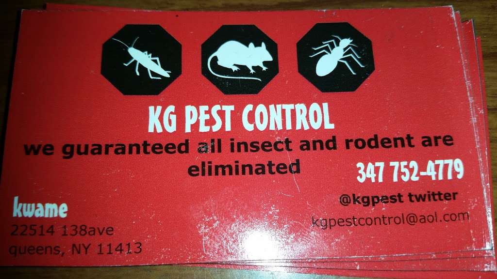 Kg pest control | 225-14 138th Ave, Jamaica, NY 11413, USA | Phone: (347) 752-4779