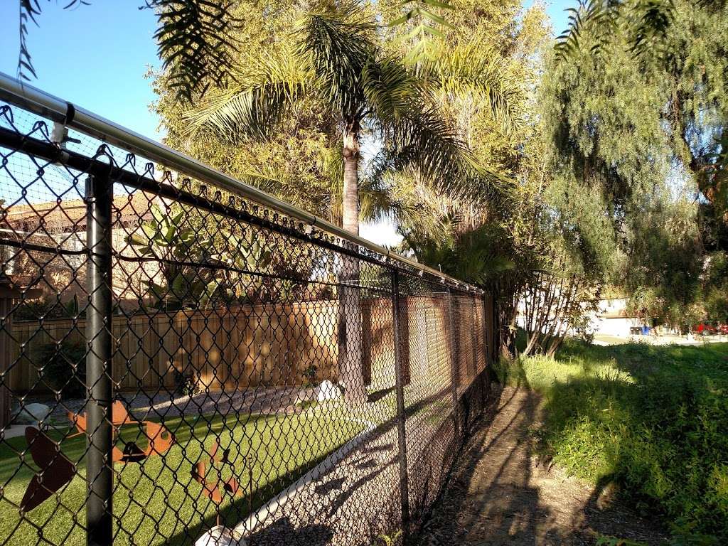 Wildlife Removal Services | 9852 Katella Ave #325, Anaheim, CA 92804 | Phone: (877) 299-6441