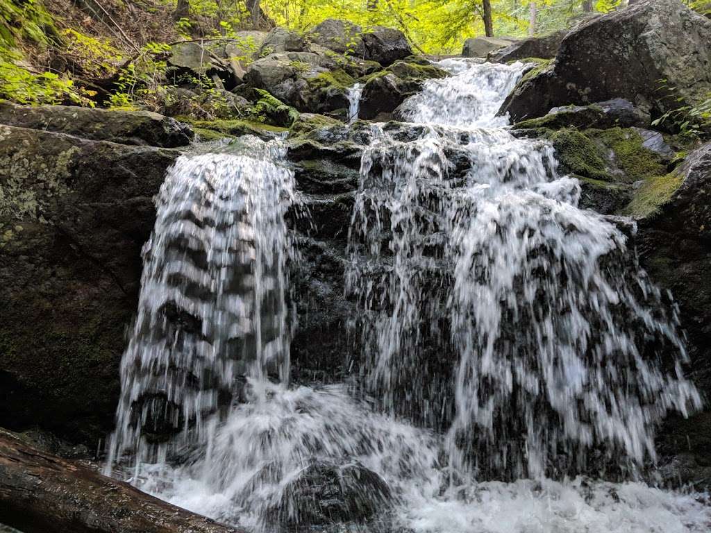 Schunnemunk Mountain State Park | 339 Otterkill Rd, New Windsor, NY 12553, USA