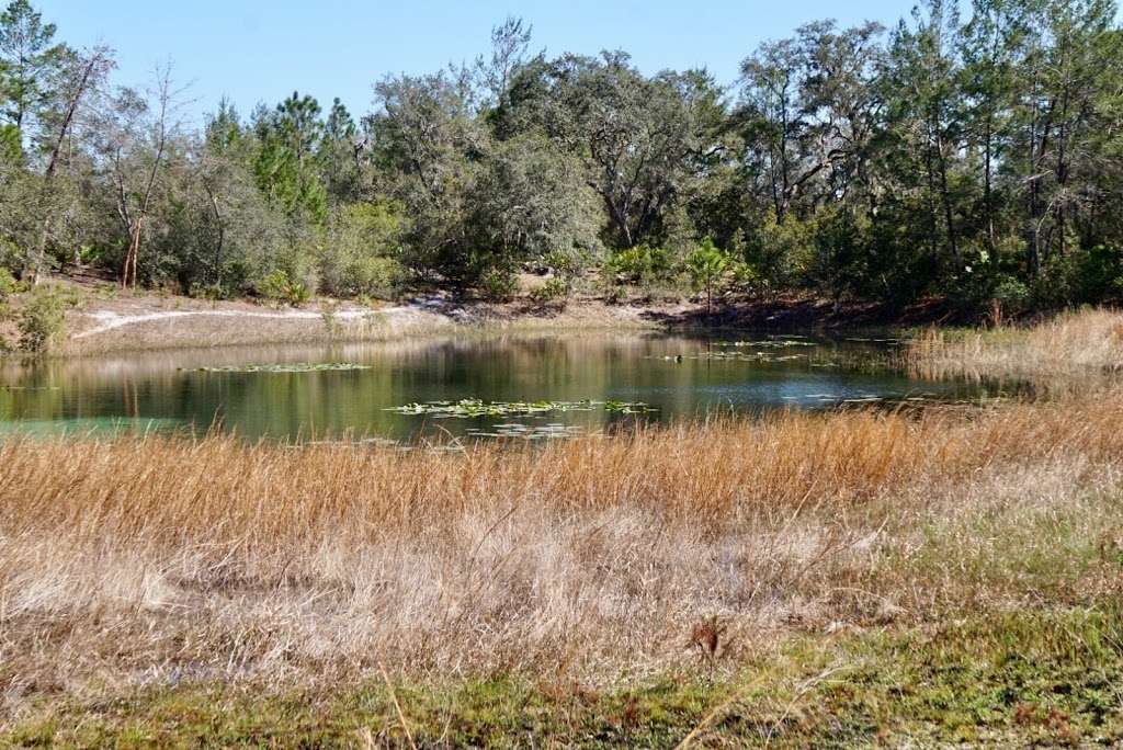 Pats Island Trailhead | F R 51, Fort McCoy, FL 32134, USA