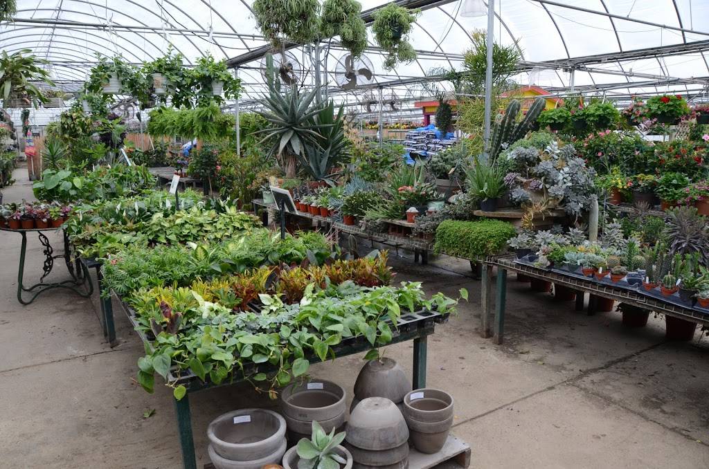 Youngs Greenhouse & Flower Shop | 5867 Lake Ave, Fort Wayne, IN 46815, USA | Phone: (260) 245-0012