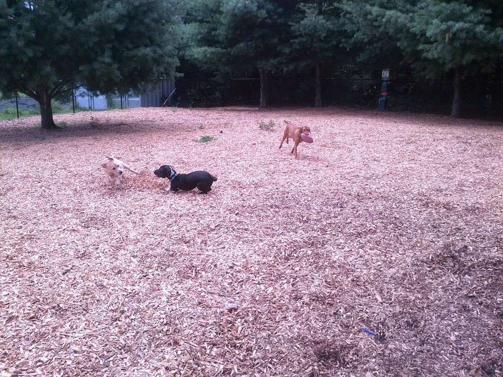 Dog Park at Dacey Community Field | Lincoln Street, Franklin, MA 02038, USA