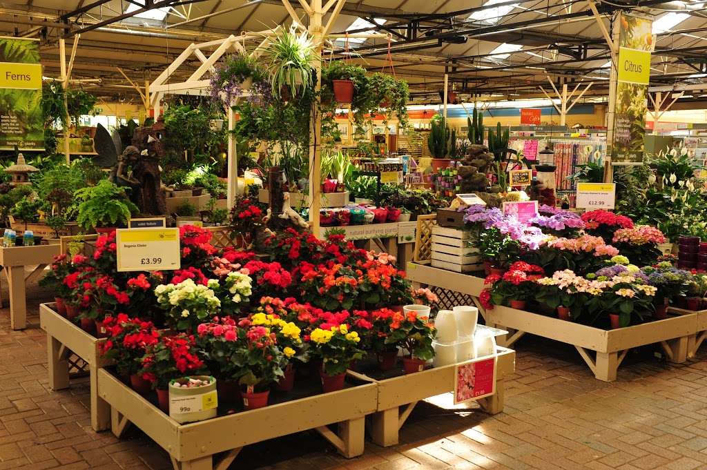 Haskins Garden Centre Snowhill | Snowhill Ln, Copthorne, Felbridge, Crawley RH10 3EY, UK | Phone: 01342 712545