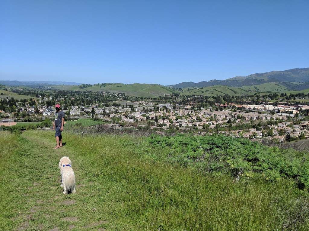 Red Willow Park | 190 Red Willow Rd, San Ramon, CA 94582, USA | Phone: (925) 973-3200