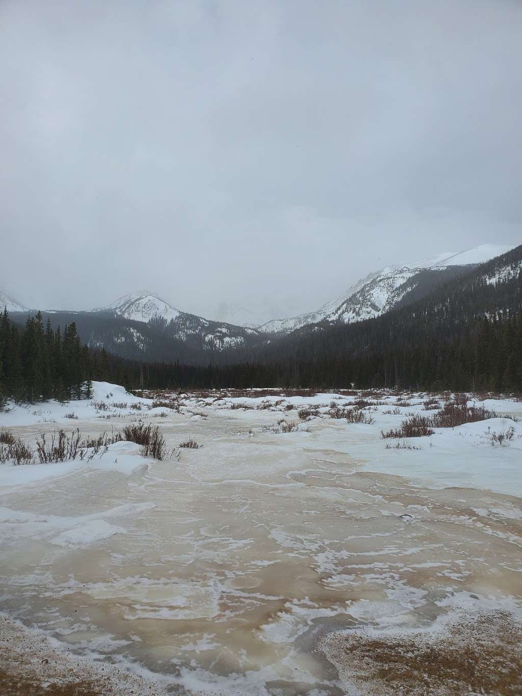 meadow trail | Cirque Meadow Trail, Bellvue, CO 80512, USA