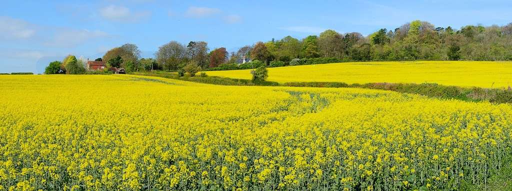 Pilgrims Way | Westerham TN16 2DS, UK