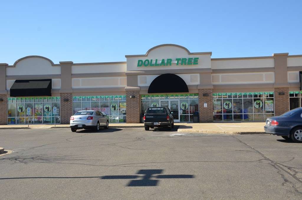 Dollar Tree | 1709 Milwaukee Ave ste a, Burlington, WI 53105, USA | Phone: (262) 767-0321