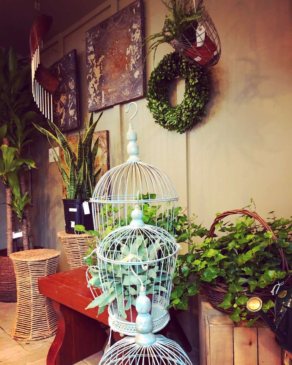 Pots & Plants | 10106 Georgetown Pike, Great Falls, VA 22066, USA | Phone: (703) 759-5900