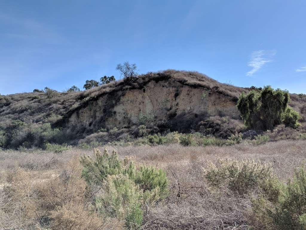 Robert E. Ward Nature Preserve | 2245 N Euclid St, Fullerton, CA 92835