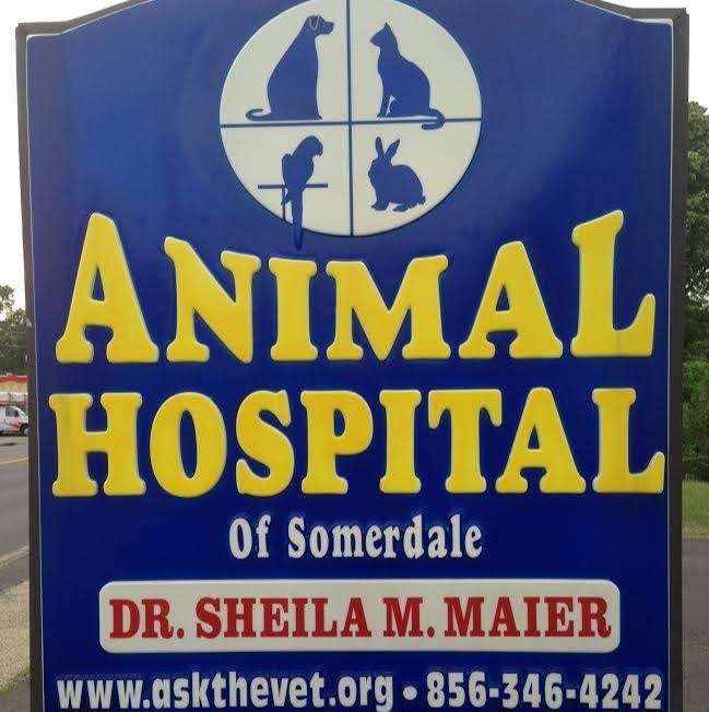 Animal Hospital of Somerdale | 408 N White Horse Pike, Somerdale, NJ 08083, USA | Phone: (856) 346-4242