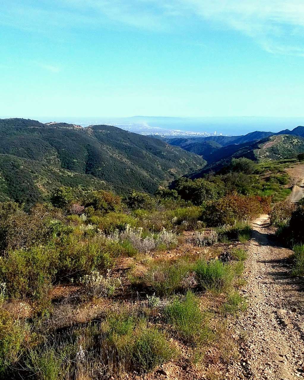 Sullivan Canyon Trailhead | 2118-2100, Queensferry Rd, Los Angeles, CA 90049, USA